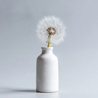 Dandelion in white vase