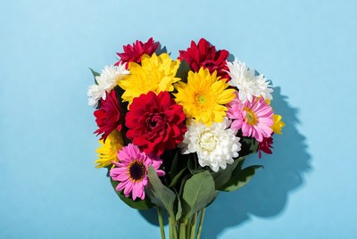 Colorful Bouquet of Daisies on Blue Background