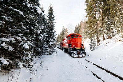 Red train in snowy forest