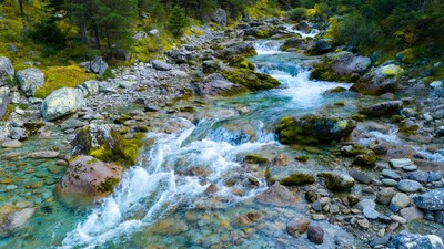 Mountain Stream Flowing Over Mossy Rocks
