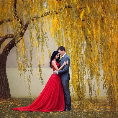 Couple embracing under golden willow tree