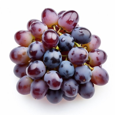 Fresh purple grapes cluster