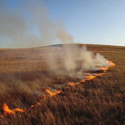 Grass fire burning on hillside