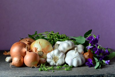 Onions and garlic with purple flowers