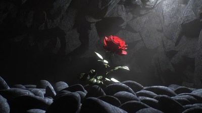 Red Rose in Dark Cave
