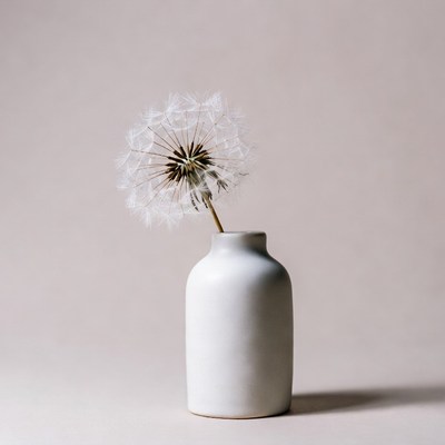 Dandelion in white vase