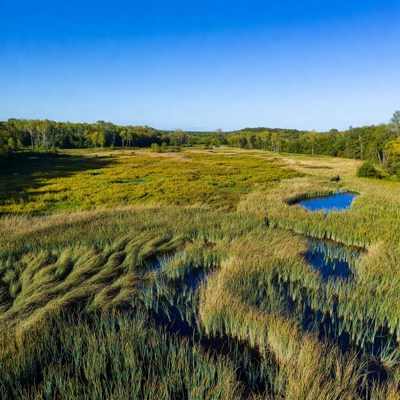 Aerial View of Marsh with Golden Grasses
