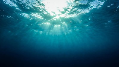 Sunlight rays underwater ocean