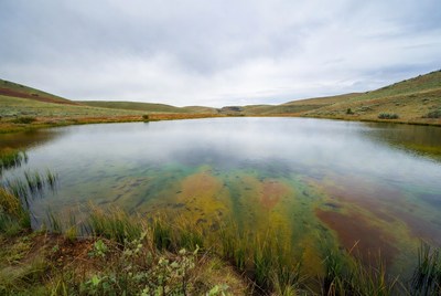 Scenic Pond in Grassy Hills
