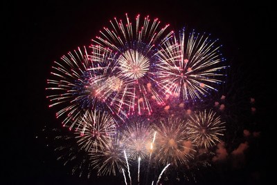 Colorful Fireworks Exploding in Night Sky