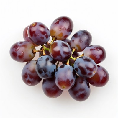Cluster of Fresh Purple Grapes