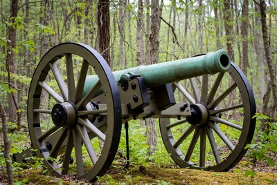 Civil War Cannon in Forest