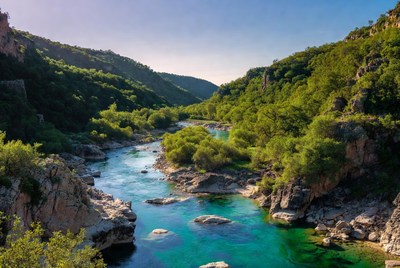 Turquoise River in Lush Green Canyon