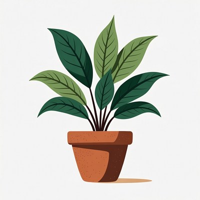 Green houseplant in terracotta pot