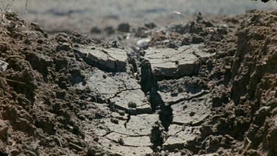 Cracked Dry Mud Ground