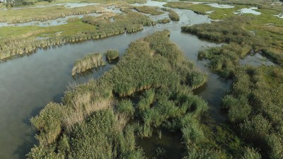 Aerial View of Marshland Wetlands
