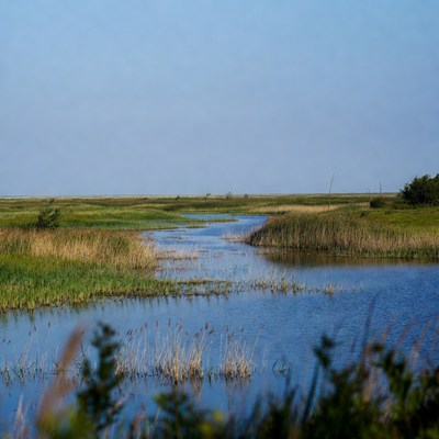 Marshland with winding blue waterway