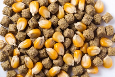 Corn Kernels and Pellets Mix