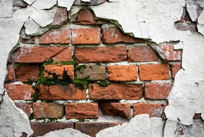 Peeling Plaster on Brick Wall with Moss