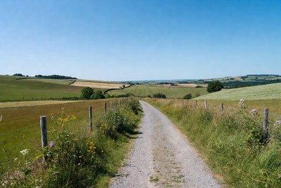Gravel path through green rolling fields