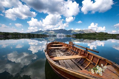 Wooden Rowboat with Daisies on Lake