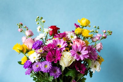 Colorful bouquet on blue background