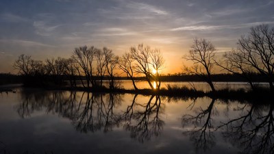 Sunset over lake with bare trees reflections