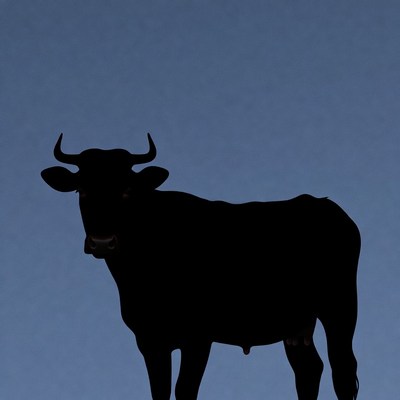 Black silhouette of bull