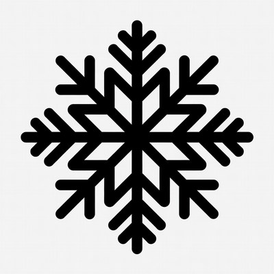 Black snowflake icon