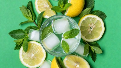 Lemon Mint Ice Water Glass