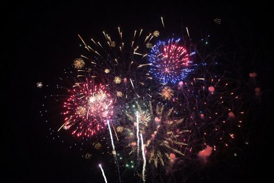 Colorful Fireworks Exploding in Night Sky