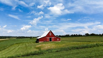 Red Barn in Green Fields