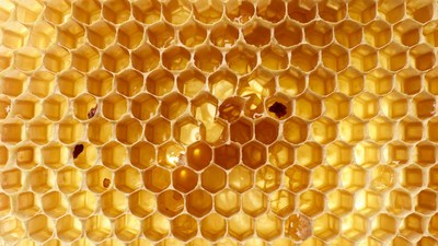 Honeycomb with Honey Dripping