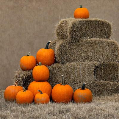 Pumpkins on Hay Bales