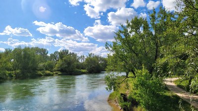 Green River with Trees and Blue Sky
