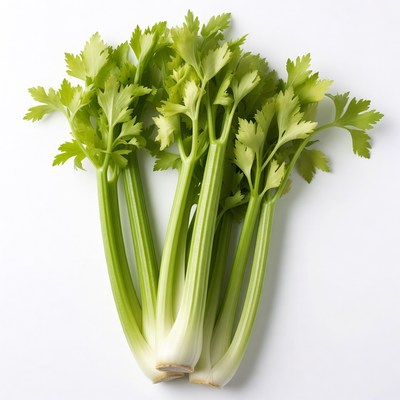 Fresh Celery Stalks on White Background