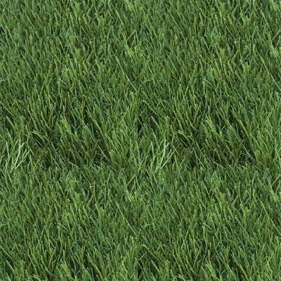 Lush Green Grass Texture
