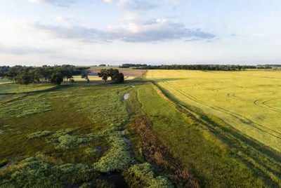 Aerial view of green fields and yellow crops