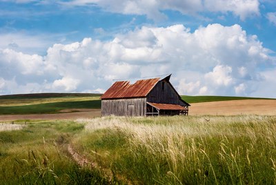 Rustic red barn in green fields