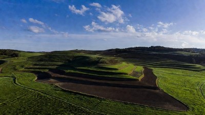 Terraced Green Hills Landscape