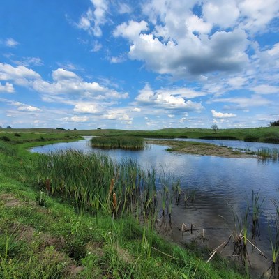 Scenic River in Green Marshland