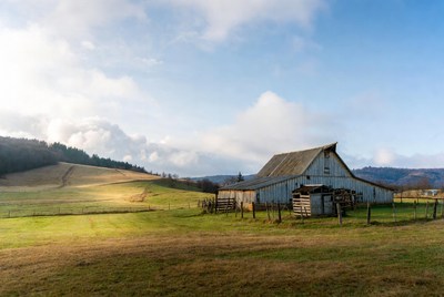 Old Barn in Rolling Hills