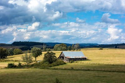 Rustic Barn in Golden Fields