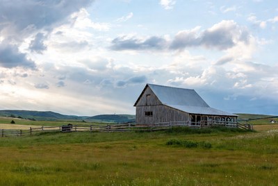Rustic barn in green countryside