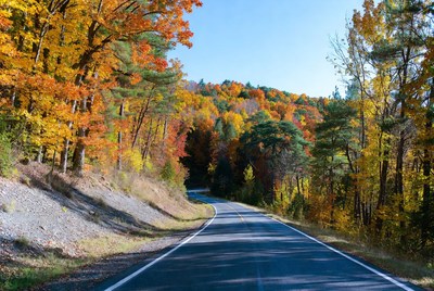 Winding Road Through Autumn Forest
