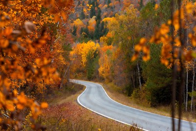 Winding Road Through Autumn Forest