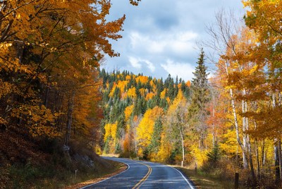 Winding road through autumn forest