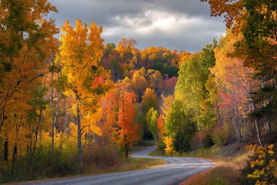 Winding Road Through Autumn Forest