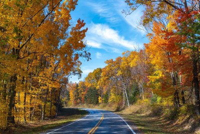 Curvy road through autumn forest