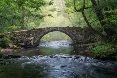 Stone Arch Bridge over Forest Stream